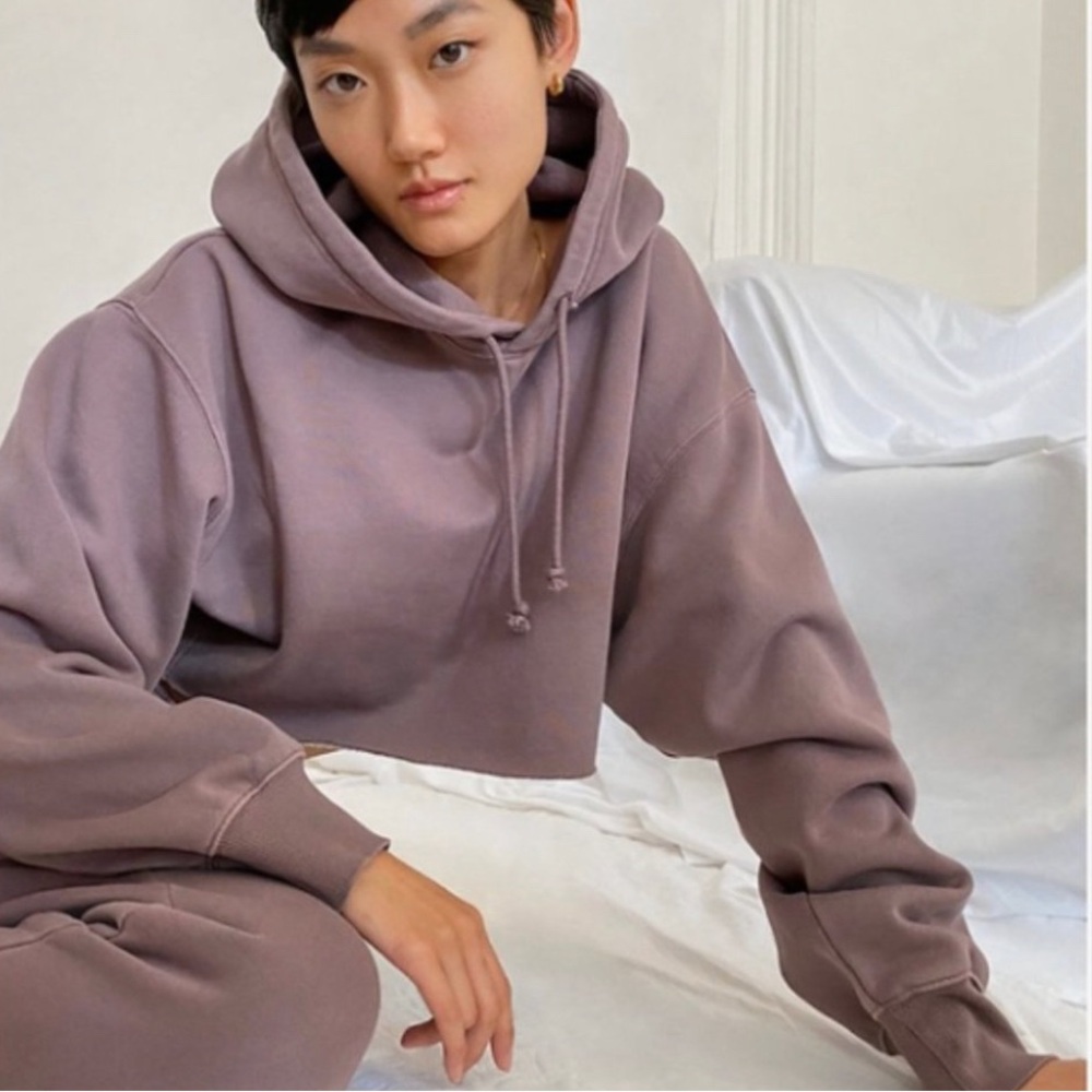 Aritzia TNA Cozy Boyfriend Cropped Smoked Mauve Casual Relaxed Hoodie Size 1